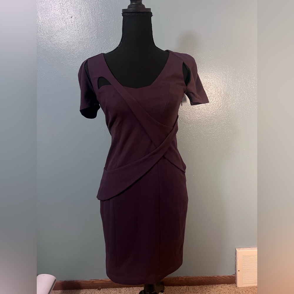 Ali ro plum colored dress​​​